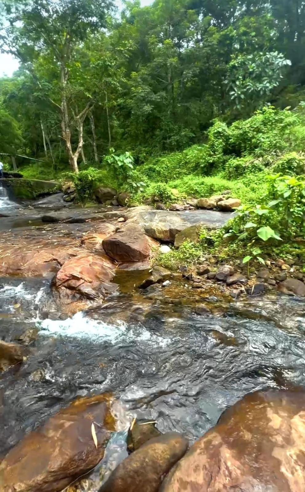 Nest Resorts Athirappilly Exterior foto