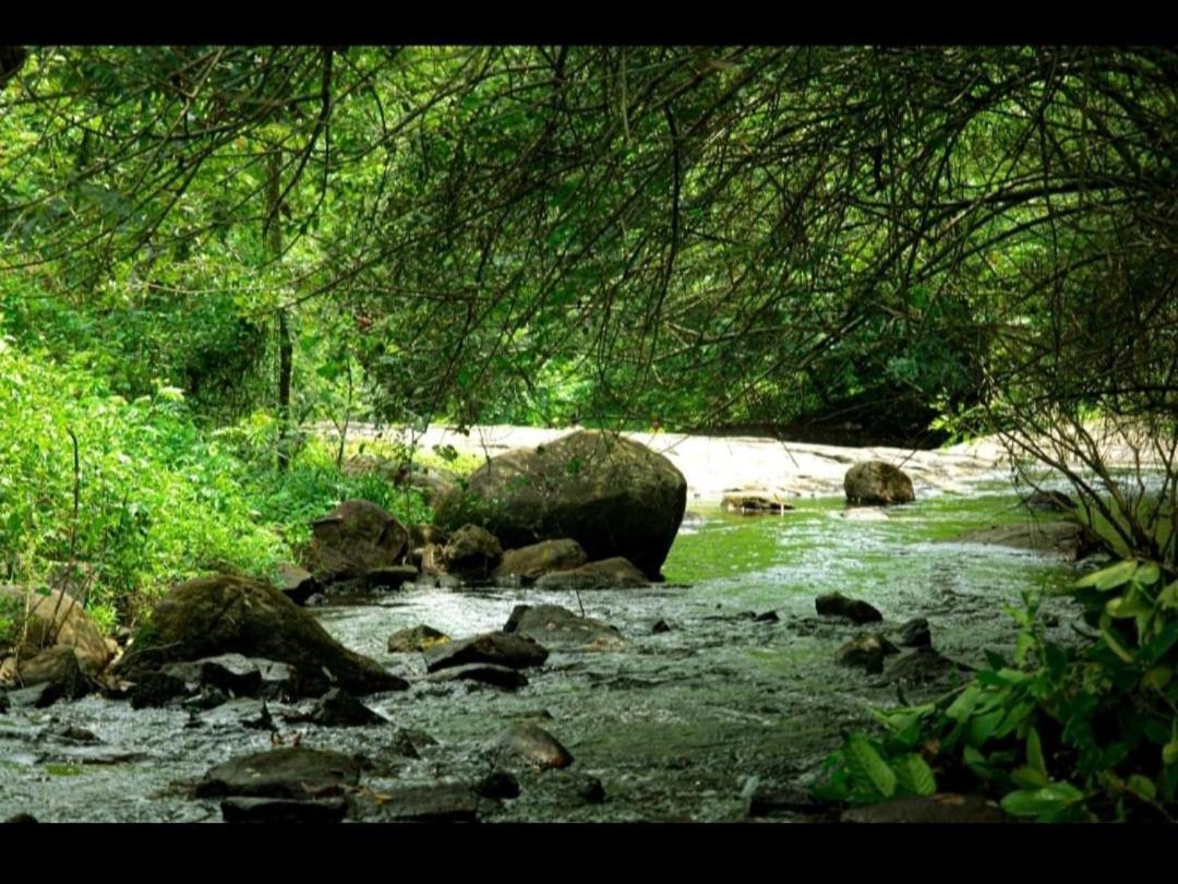 Nest Resorts Athirappilly Exterior foto